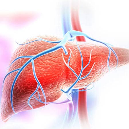 liver surgery in Chennai